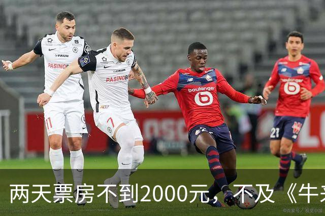 两天票房不到2000元，不及《牛来》一半，多位明星助力也没用，本月最惨电影诞生