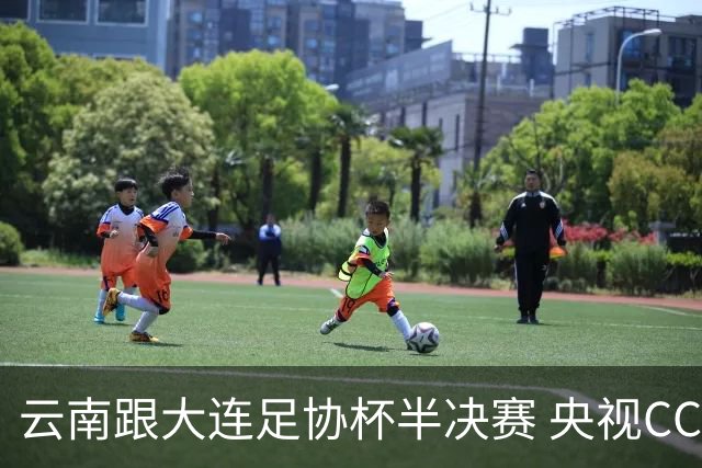 云南跟大连足协杯半决赛 央视CCTV有直播 前北京国安外援马马杜还能再立奇功吗