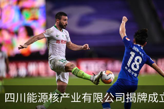 四川能源核产业有限公司揭牌成立施小琳申彦锋出席活动