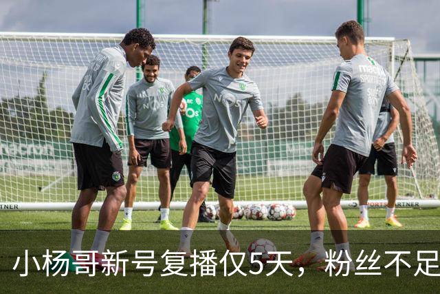 小杨哥新号复播仅5天，粉丝不足10万，直播间观看人数不到2000