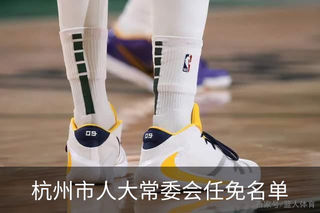 杭州市人大常委会任免名单