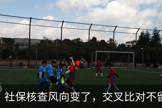 社保核查风向变了，交叉比对不留情，普通人的账到底该怎么算