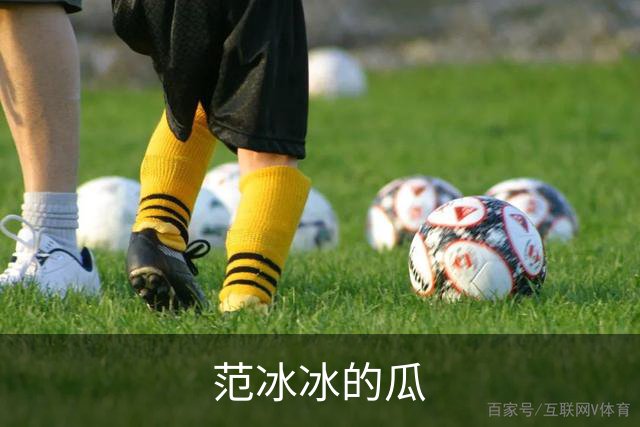 范冰冰的瓜