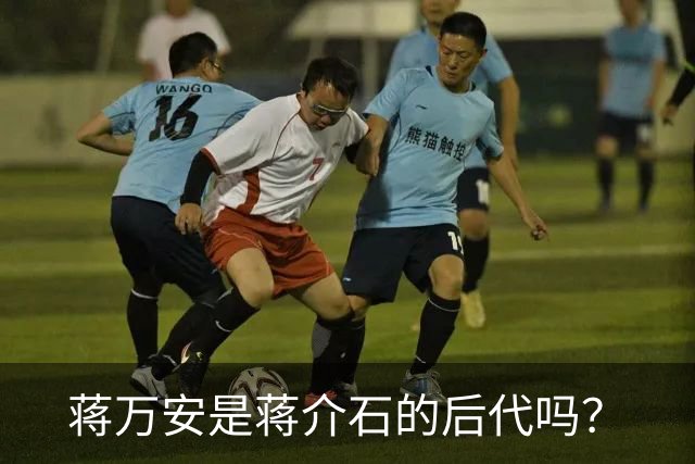 蒋万安是蒋介石的后代吗？