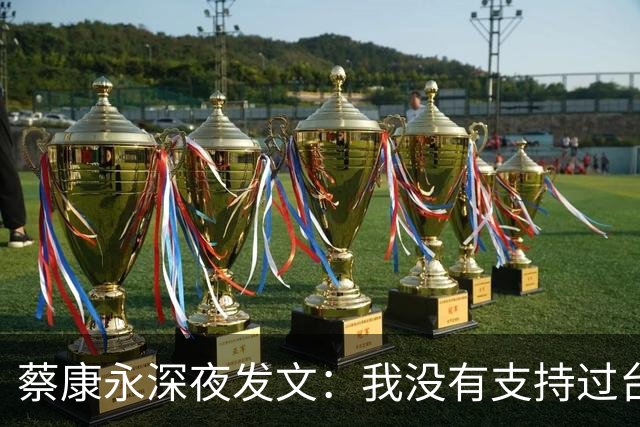 蔡康永深夜发文：我没有支持过台独