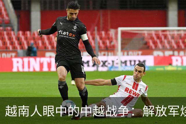 越南人眼中的中越战争：解放军烧杀抢掠，什么都要，真相究竟如何？