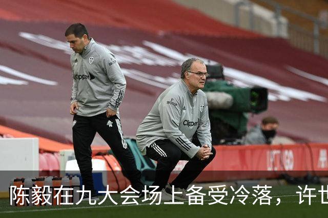陈毅在九大会场上备受冷落，许世友：陈老总，我有礼物送给你